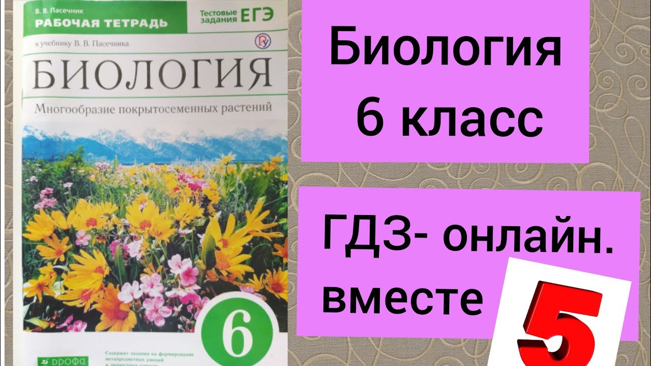 Биология тетрадь 10 11 пасечник. Биология 6 класс рабочая тетрадь Пасечник. Рабочая тетрадь по биологии 6 класс Пасечник. Рабочая тетрадь по биологии 6 класс Пасечник цветок. Биология тетрадь Пасечник биология 6 класс.