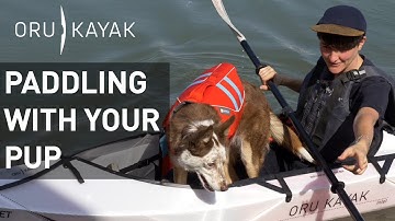 Oru Kayak How To: Easy Steps to Kayaking with Your Dog
