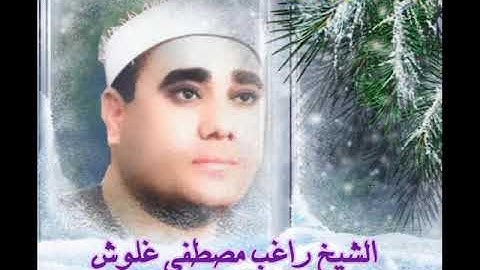 الشيخ راغب مصطفى غلوش ما تيسر من سورة المائدة ستوديو