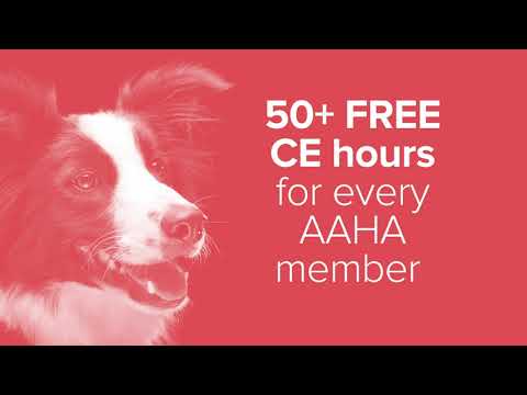 AAHA member benefits: online CE - AAHA member benefits: online CE
