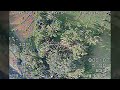DVR. Tree-Diving