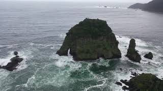 Manquemapu, costa de Purranque- IMAGDA
