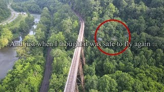 4k UHD - Birds decide to attack my drone while filming a train trestle