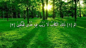 حالات واتس اب ماهر المعيقلي سورة البقرة