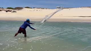 PESCA DE TARRAFA. #pescaria #tarrafa #fishing #praia #praia #pescacomtarrafa #pescasub