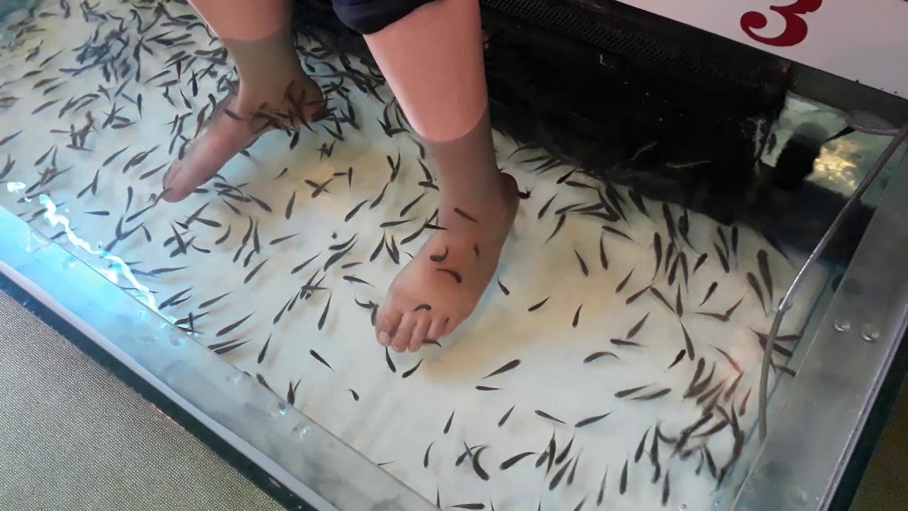 ปลาจิ๋ว กับลูกสาว - YouTube