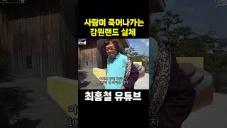 사람이 죽어나가는 강원랜드 실체