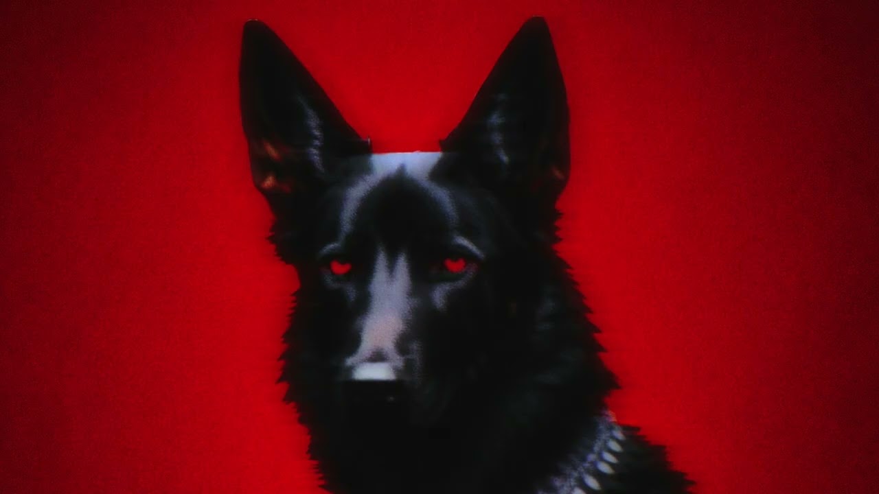 Blkswn, Romain Barazer, Kenan Belzner - Not Alone