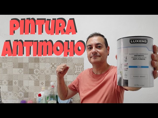 La pintura antimoho no es eficaz, te explicamos el porqué - Humidity Home  Solutions