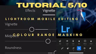How to Make Colors Pop Using Color Range Masking in Lightroom Mobile