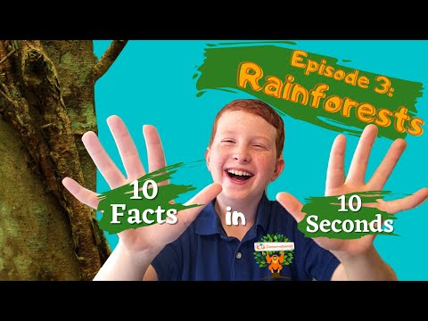 Video 10 in 10 | Ep 3. Rainforests - 10 Facts in 10 Seconds - youtube