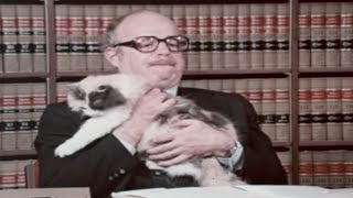 Grass on the Roof (1979?)