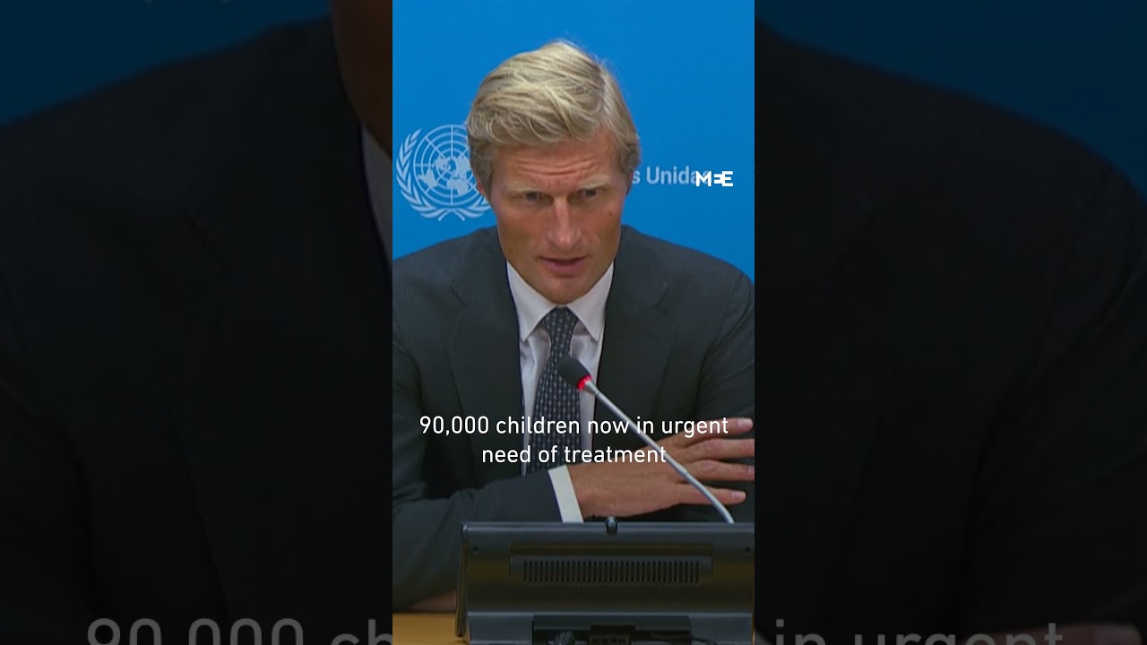 WFP deputy chief director: ‘One in three people in Gaza go for days without eating’