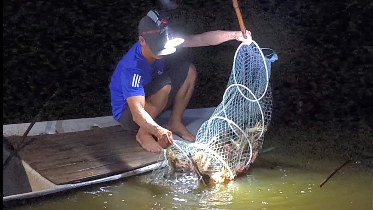 Cận cảnh thu tôm gia hoá 79 sau 75 ngày nuôi được size 22 con/kg