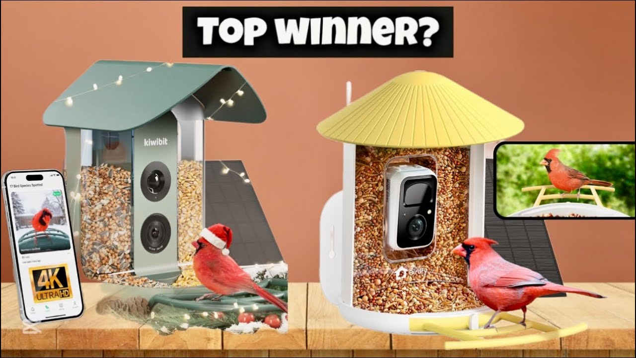 Top 5 Smart Bird Feeders with Cameras 2026   Ultimate Review