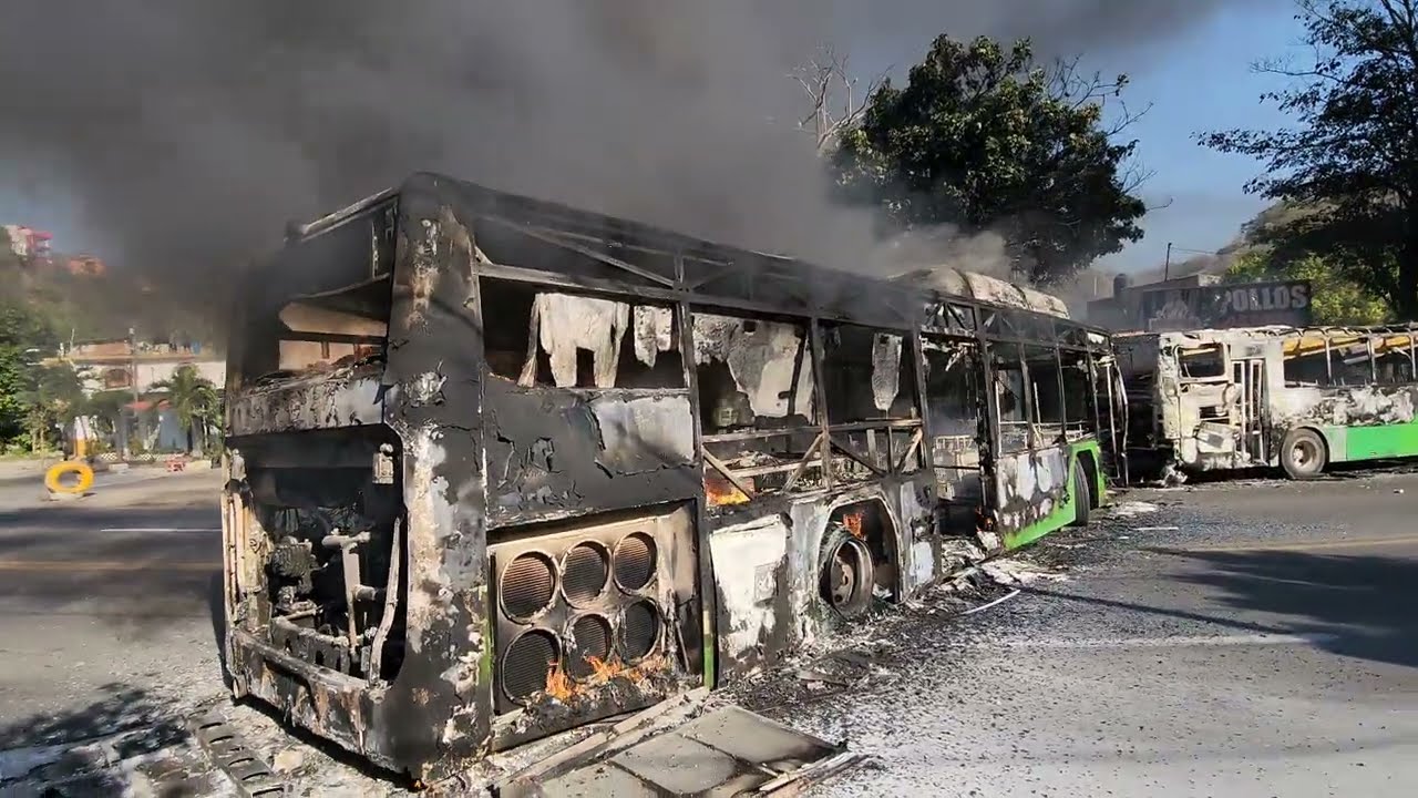 Checking out the chaos in puerto vallarta