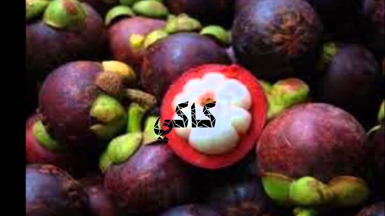  NAMA  BUAH  BUAHAN DALAM  BAHASA  ARAB  YouTube