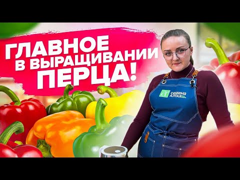 Видео: Посадка коронной вики: узнайте, как использовать коронную вику для естественного заднего двора или наклонного ландшафта