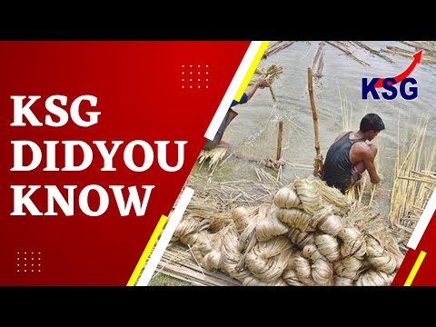 Which Of The Following State Is The Biggest Jute Producer In India