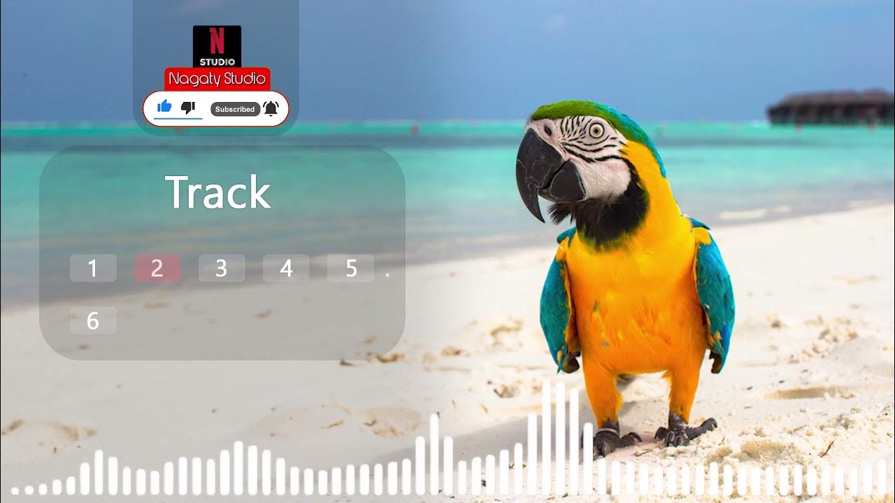 Parrot sound effect parrot noises birds sounds HQ YouTube