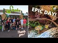 Snake Discovery Enclosure Build-off 2021 - The most EPIC Day!