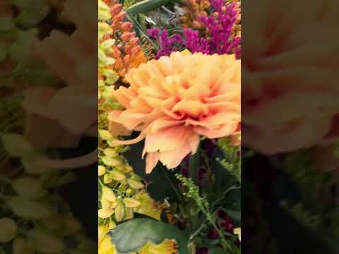 Beautiful Flowers