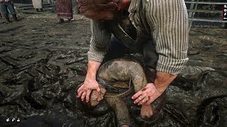 Rdr2 - The Animation Team Chose Fun Over Realism...