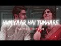 Hum Yaar Hain Tumhare 90's Slowed X Reverb Alka yagnik   90s Hits Lofi Songs Mp3 Song