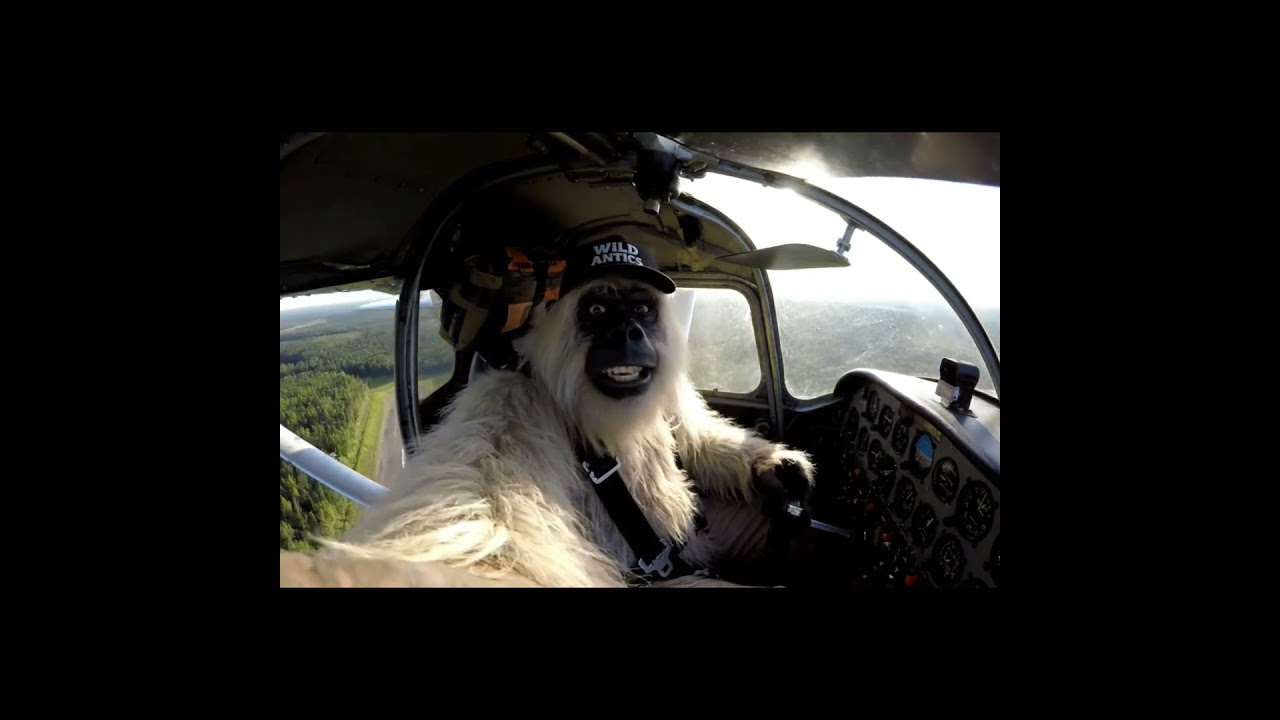 part 2 | Yeti Steals a Spaceship from Area 52 to Rescue Bigfoot!  🌌