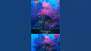 الرحمن المصحف القرآن الكريم اكسبلور 