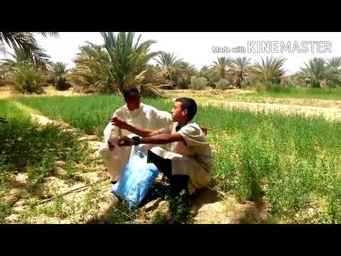 فلم قصير لعبد الحق و إسماعيل