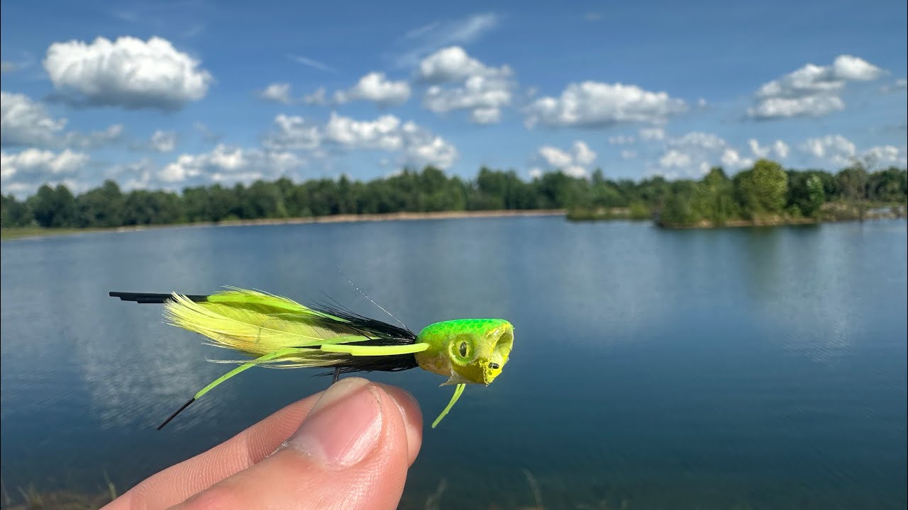 One Fly, One Pond, and Some Aggressive Bass