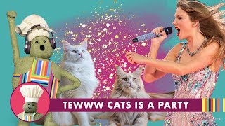 Tiny Chef | TEWWW Cats is a Party Profile