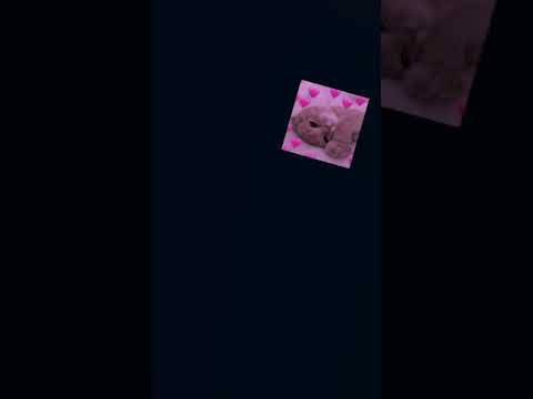 من اول مقابله سحر عينه نداني محمد حماقي  