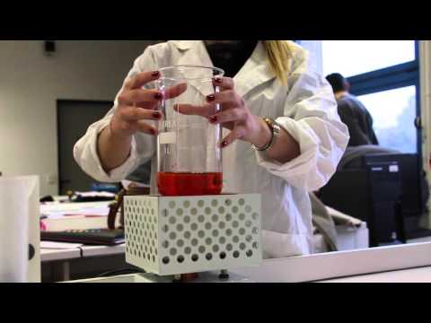 Convection Thermique - Prouver la circulation thermohaline