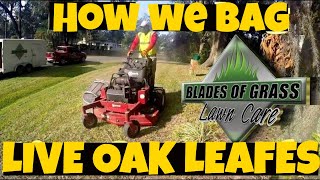 Bagging leaves with the accelerator leaf bagger