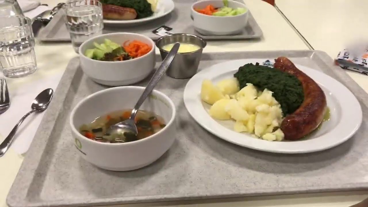 Vlog 103 | Dag 1 van de bosklassen!