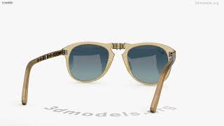Persol Steve McQueen Sunglasses 3D model by 3DModels.org @3dmodels_team