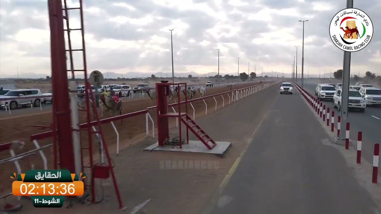 ميــدان الذيد - ش 11 الحقايق 17/01/2026  محبه لـ عبدالله علي سيف الزحمي. التوقيت: 