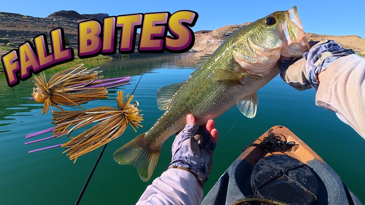 Fall Cranking and Jig techniques catch BASS (Lake Mead)