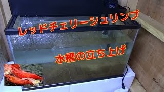 レッドチェリーシュリンプの水槽の立ち上げ メダカを入れてバクテリアで生物ろ過をして準備ミナミヌマエビred Cherry Shrimp Youtube