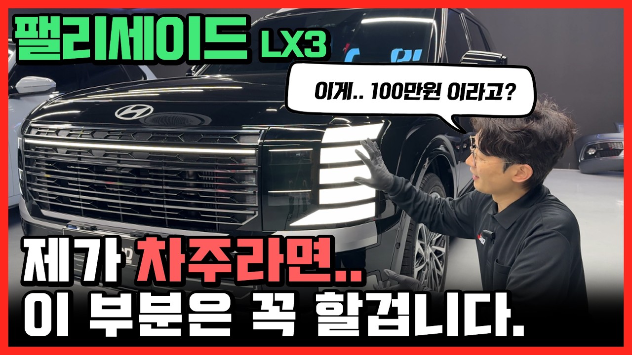 팰리세이드 풀체인지 LX3 출고 후 PPF 보호필름 붙이는 이유와 셀프 시공방법!!