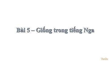 Bài 5 - Danh từ giống đực, cái, trung trong tiếng Nga | HỌC TIẾNG NGA
