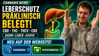Cannabis News: Preclinical Evidence for Liver Protection via Cannabinoids + New Content on My Web...