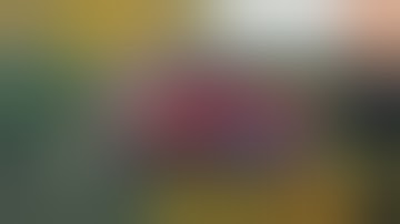 2025 Outdoor Season Recap