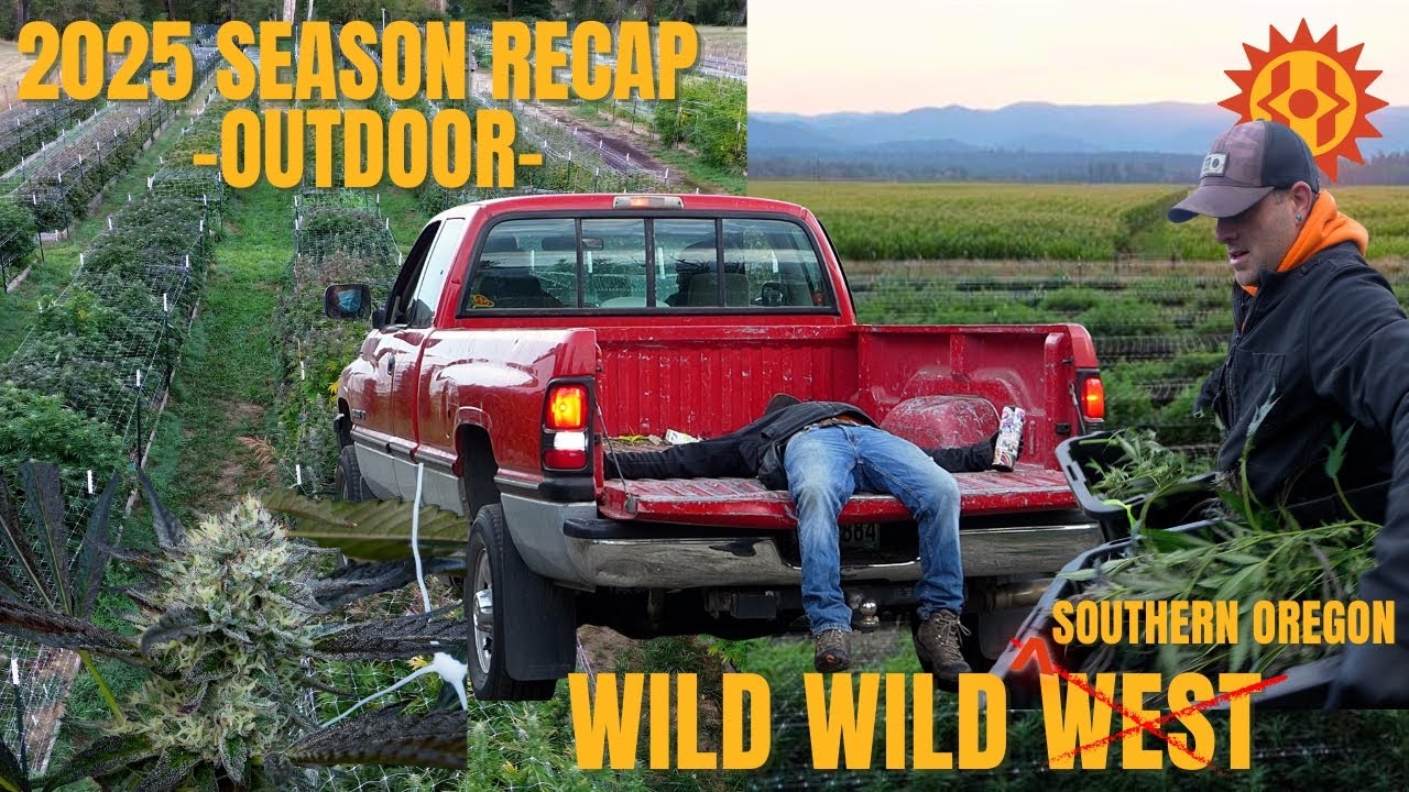 Обзор сезона активного отдыха 2025 года