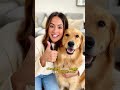 Dog Bone Snacks
