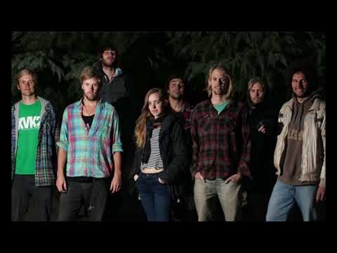 ORO DE ABEJA - EL PLAN DE LA MARIPOSA (PISTA INSTRUMENTAL)