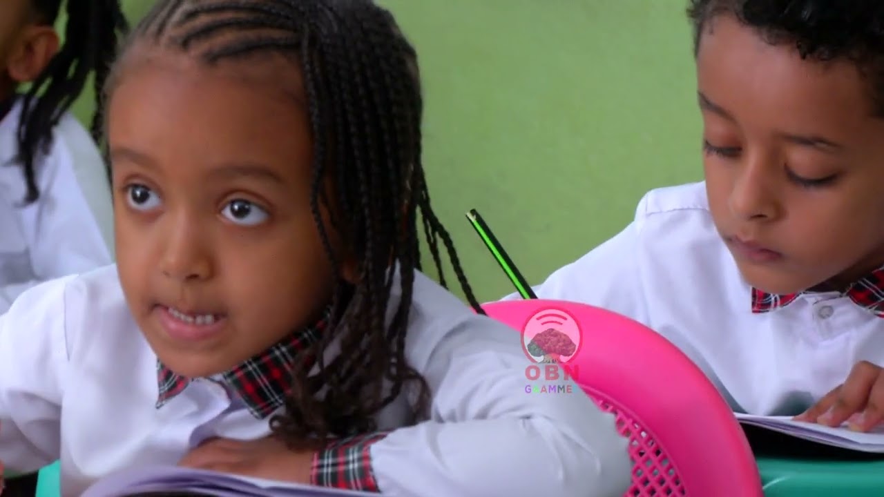 BARNOOTA AFAAN OROMOO GULANTAA 2FFAA MB Wizdam