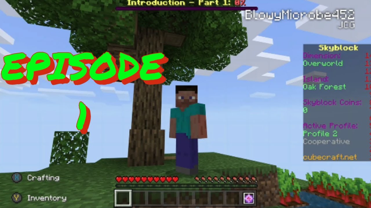 CubeCraft Skyblock Episode 1 - YouTube